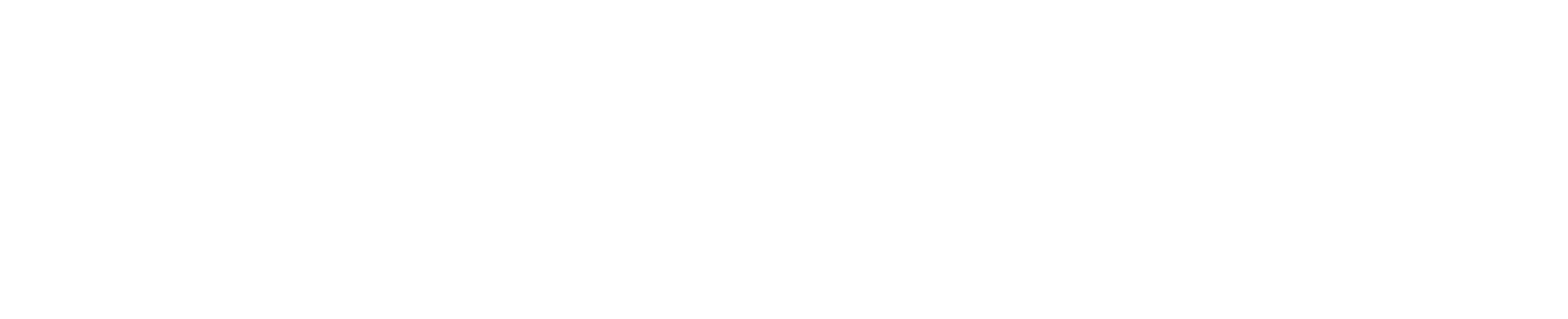 Smartywak
